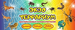 Выставка пауков и рептилий «ЭкзоТеррариум»